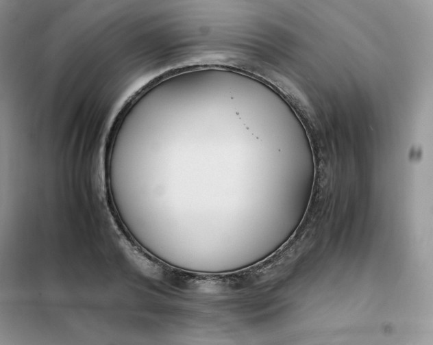 X0000102030792200808011446