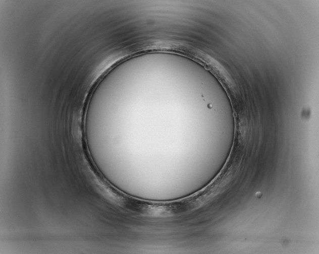 X0000102030794200808011446