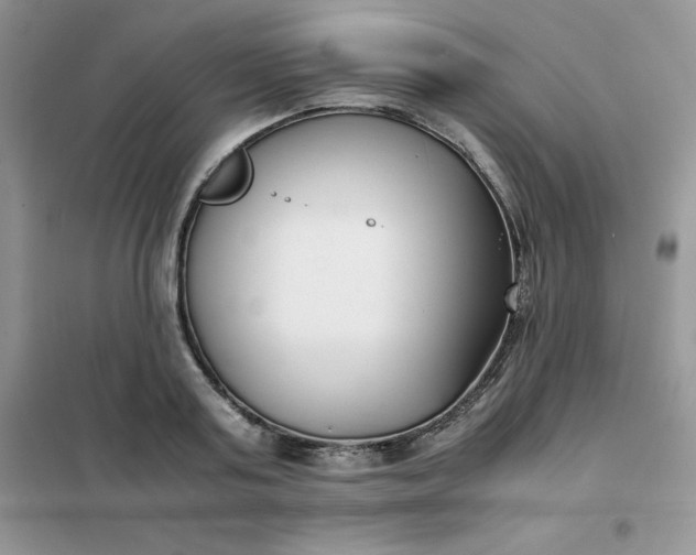 X0000102030795200808011446