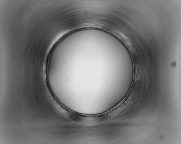 X0000102030796200808011446