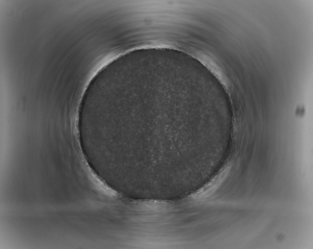 X0000102030797200808011446