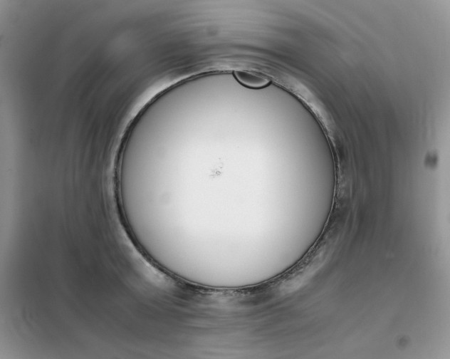 X0000102030803200808011446