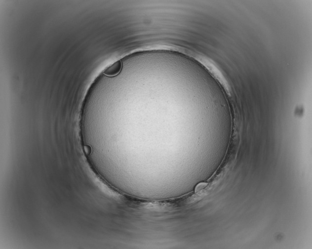 X0000102030805200808011446