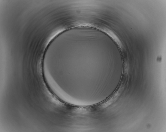 X0000102030806200808011446