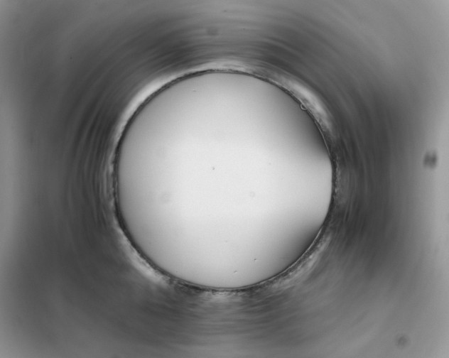 X0000102030808200808011446