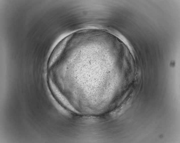 X0000102030811200808011446