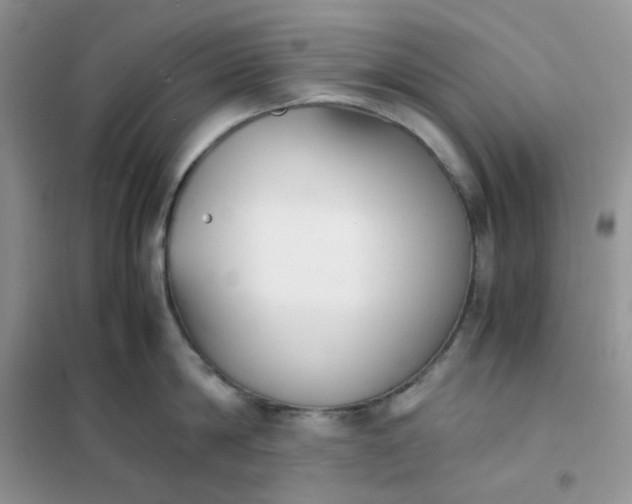 X0000102030814200808011446