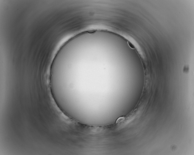 X0000102030815200808011446