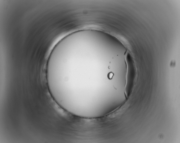 X0000102030816200808011446