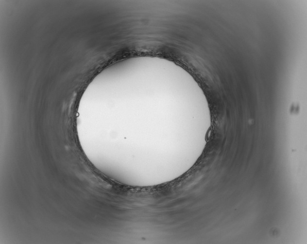 X0000102030817200808011445