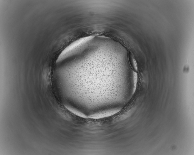 X0000102030818200808011445