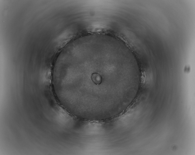 X0000102030820200808011445