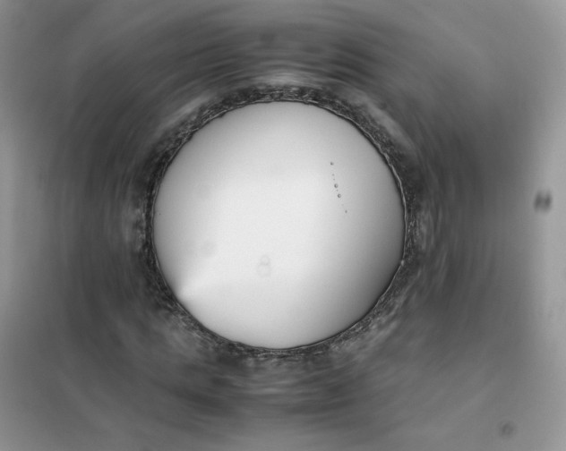 X0000102030821200808011445