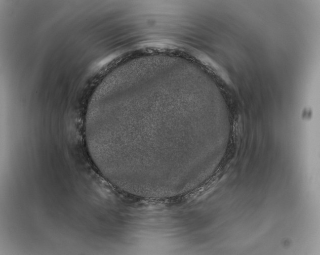 X0000102030822200808011445