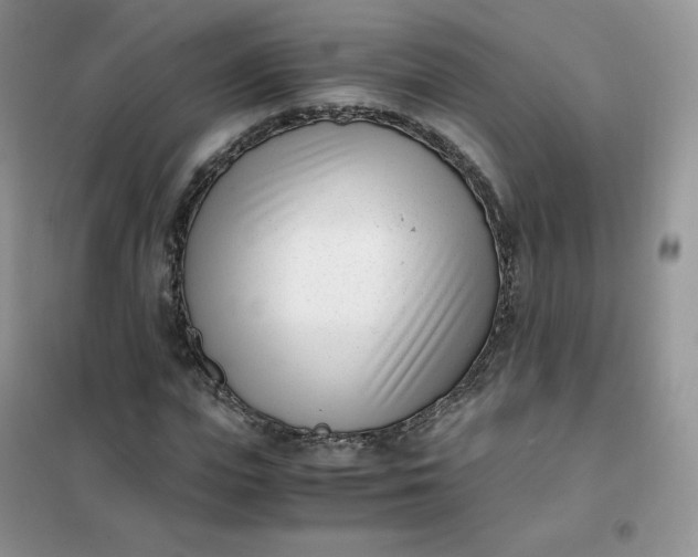 X0000102030823200808011446