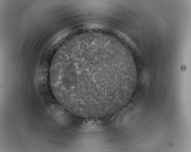 X0000102030824200808011446