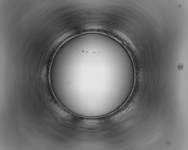 X0000102030825200808011446