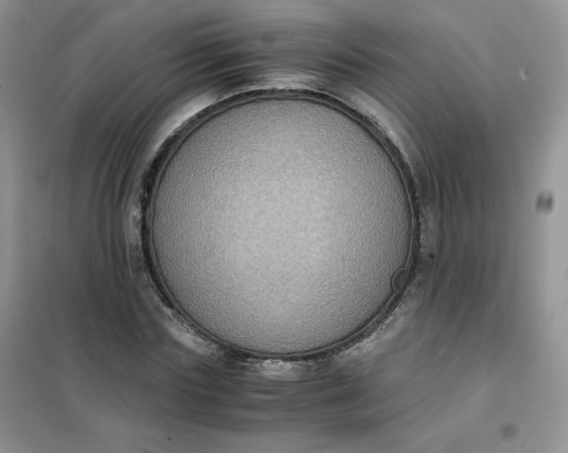 X0000102030827200808011446