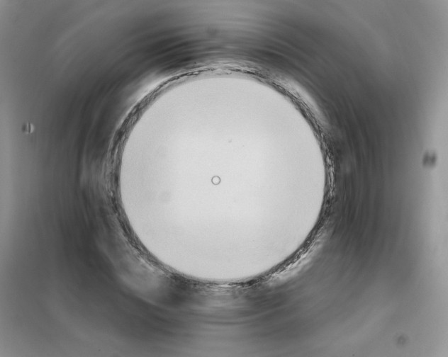 X0000102030828200808011446