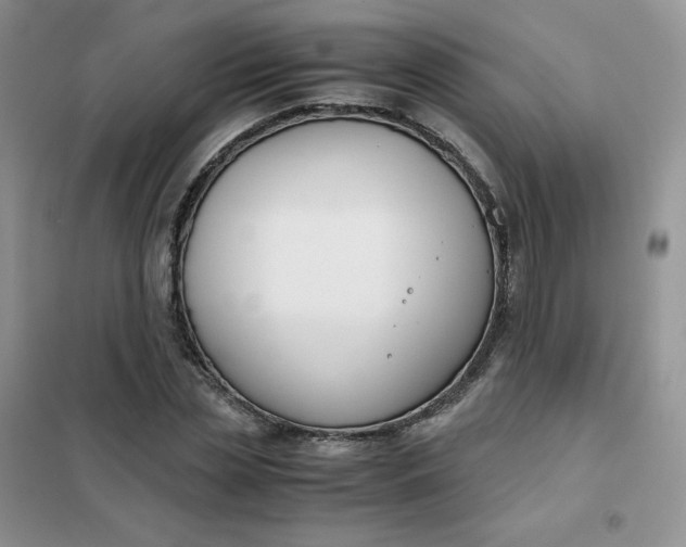 X0000102030829200808011446