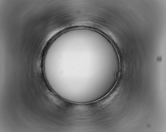 X0000102030830200808011446