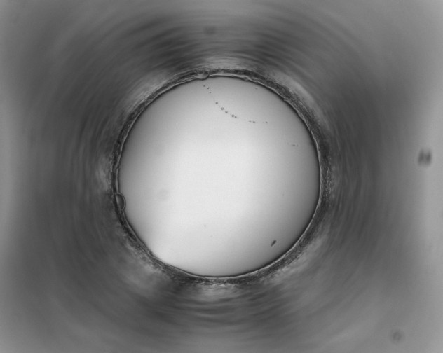 X0000102030833200808011446