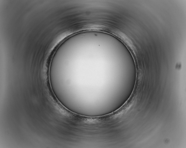 X0000102030835200808011446