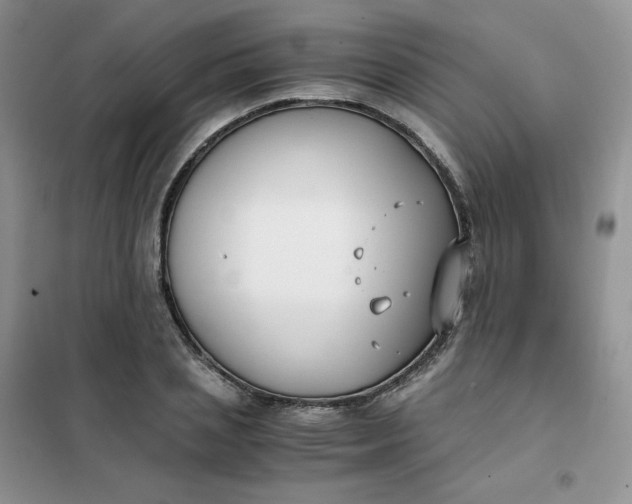 X0000102030837200808011446