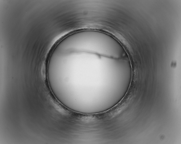 X0000102030838200808011446