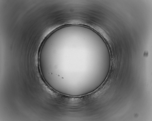 X0000102030839200808011446