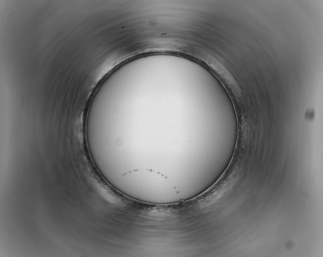 X0000102030842200808011446