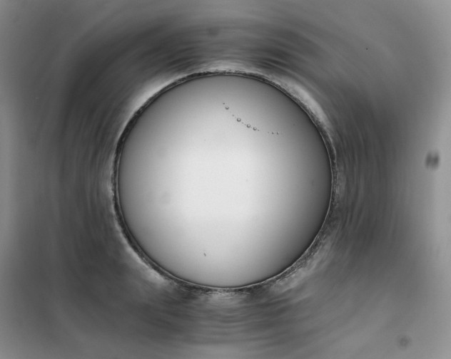 X0000102030847200808011446