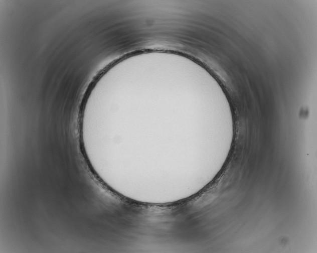 X0000102030848200808011446