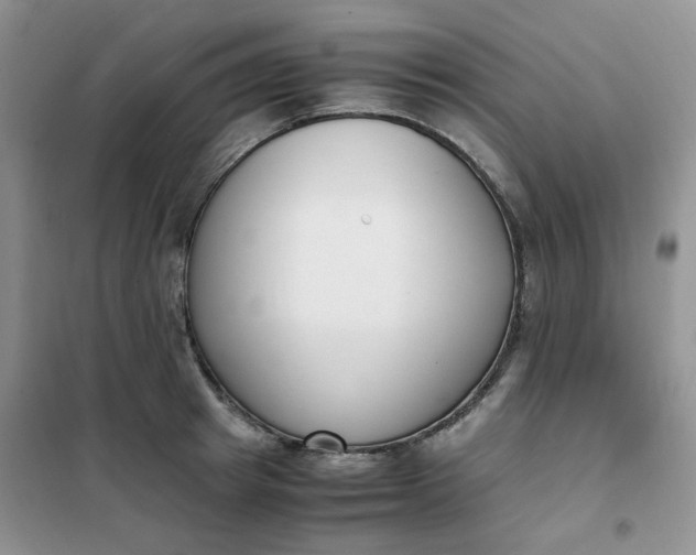 X0000102030849200808011446