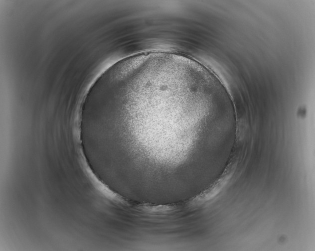 X0000102030851200808011446