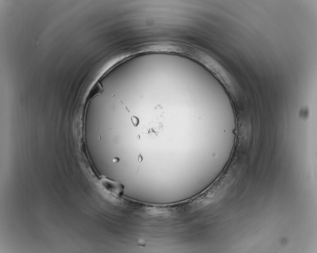 X0000102030852200808011446