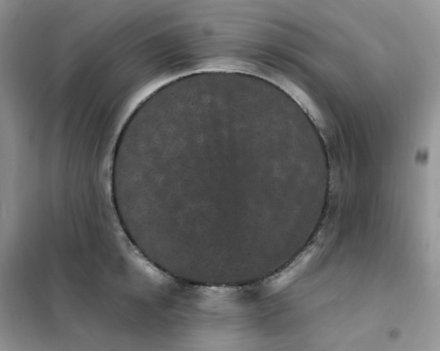 X0000102030854200808011446