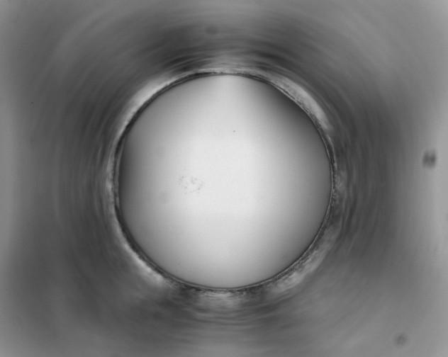 X0000102030855200808011446