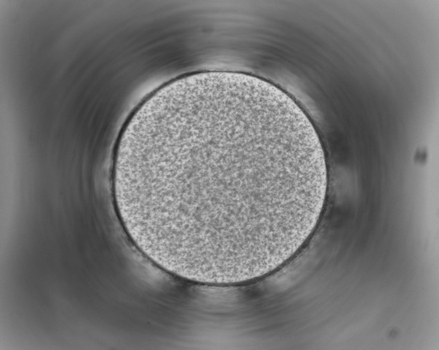 X0000102030856200808011446