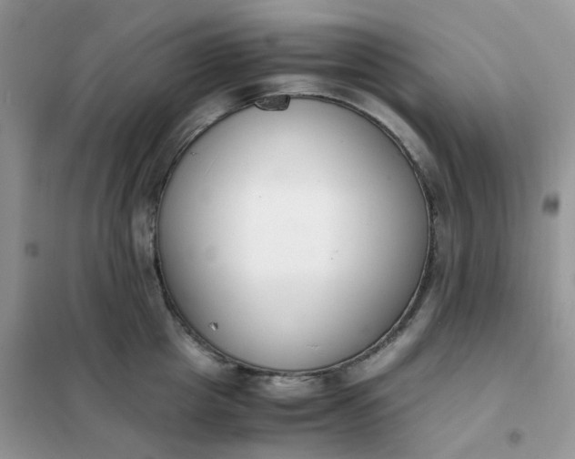 X0000102030857200808011446