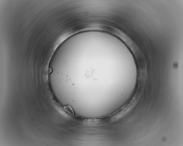 X0000102030858200808011446