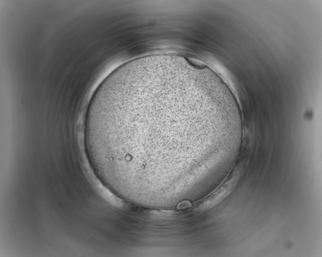 X0000102030859200808011446