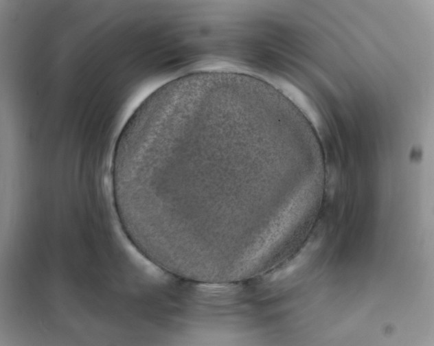 X0000102030863200808011446