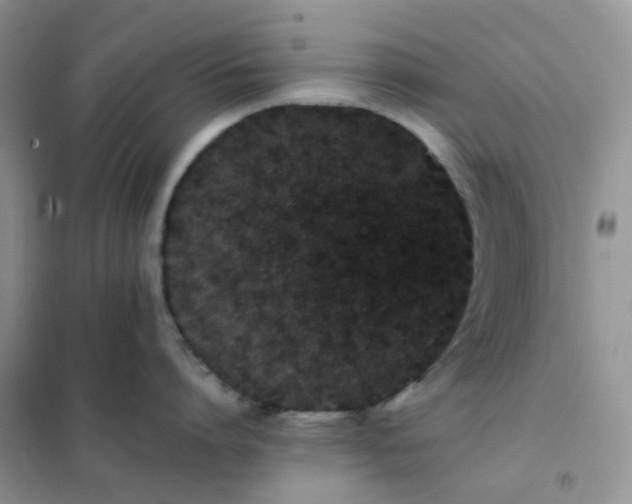 X0000102030864200808011446