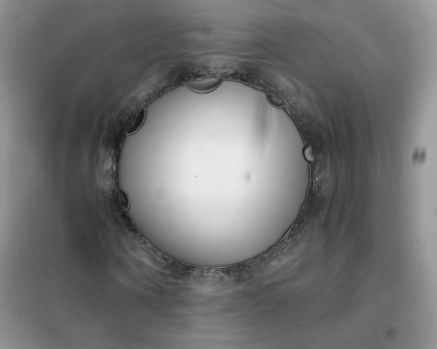 X0000102030866200808011445