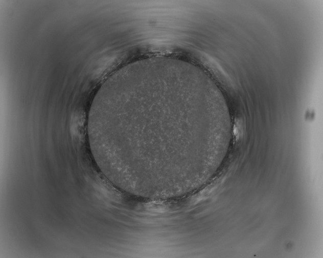 X0000102030867200808011445