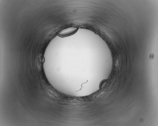 X0000102030868200808011445