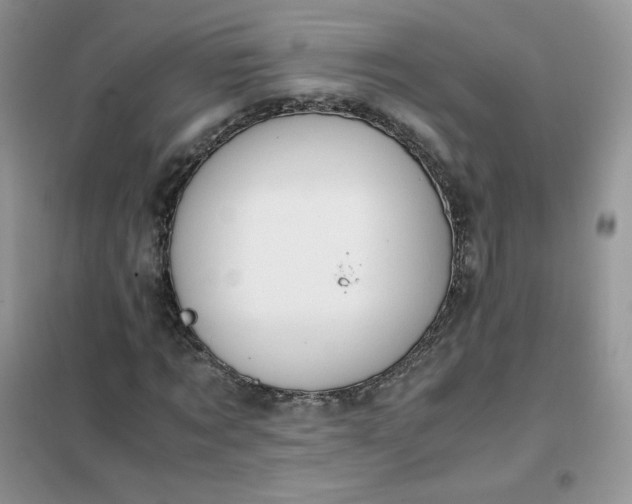 X0000102030869200808011445