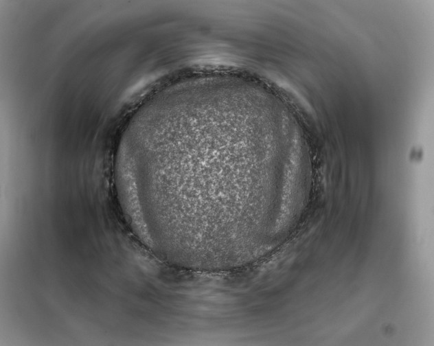 X0000102030870200808011445