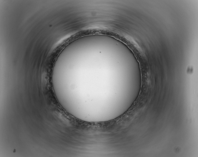 X0000102030872200808011445